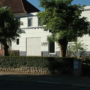 Lavan